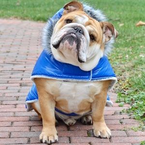 Dog Hooded Puffer Jacket